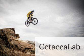 Las mejores bicis de montaña para principiantes