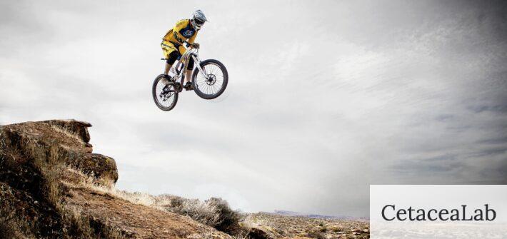 Las mejores bicis de montaña para principiantes