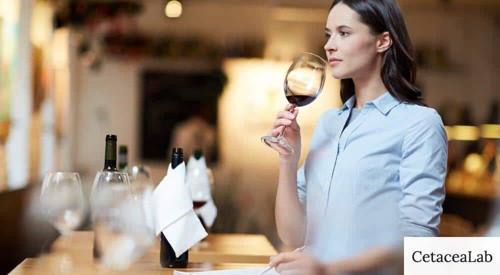 catas vinos barcelona