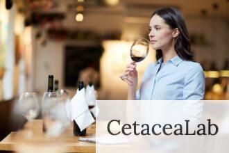 catas vinos barcelona