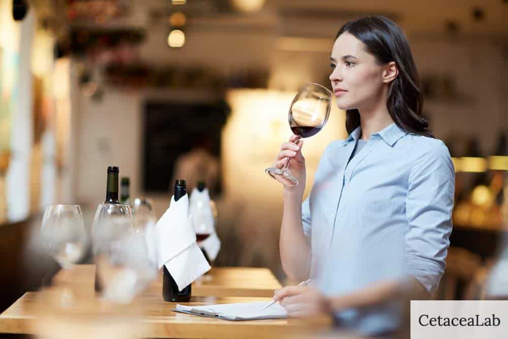 catas vinos barcelona